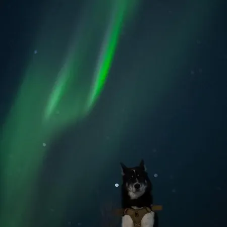 On Futrikelv Διαμέρισμα