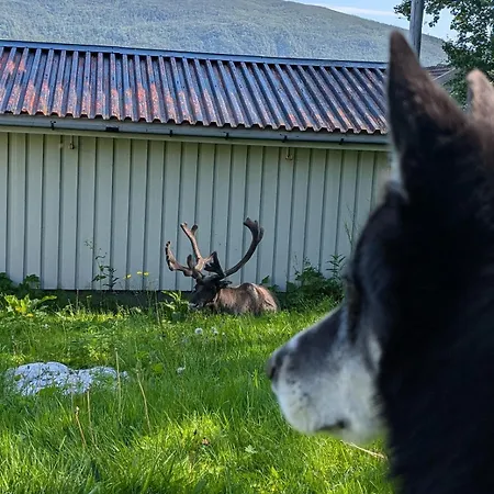 Διαμέρισμα On Futrikelv *